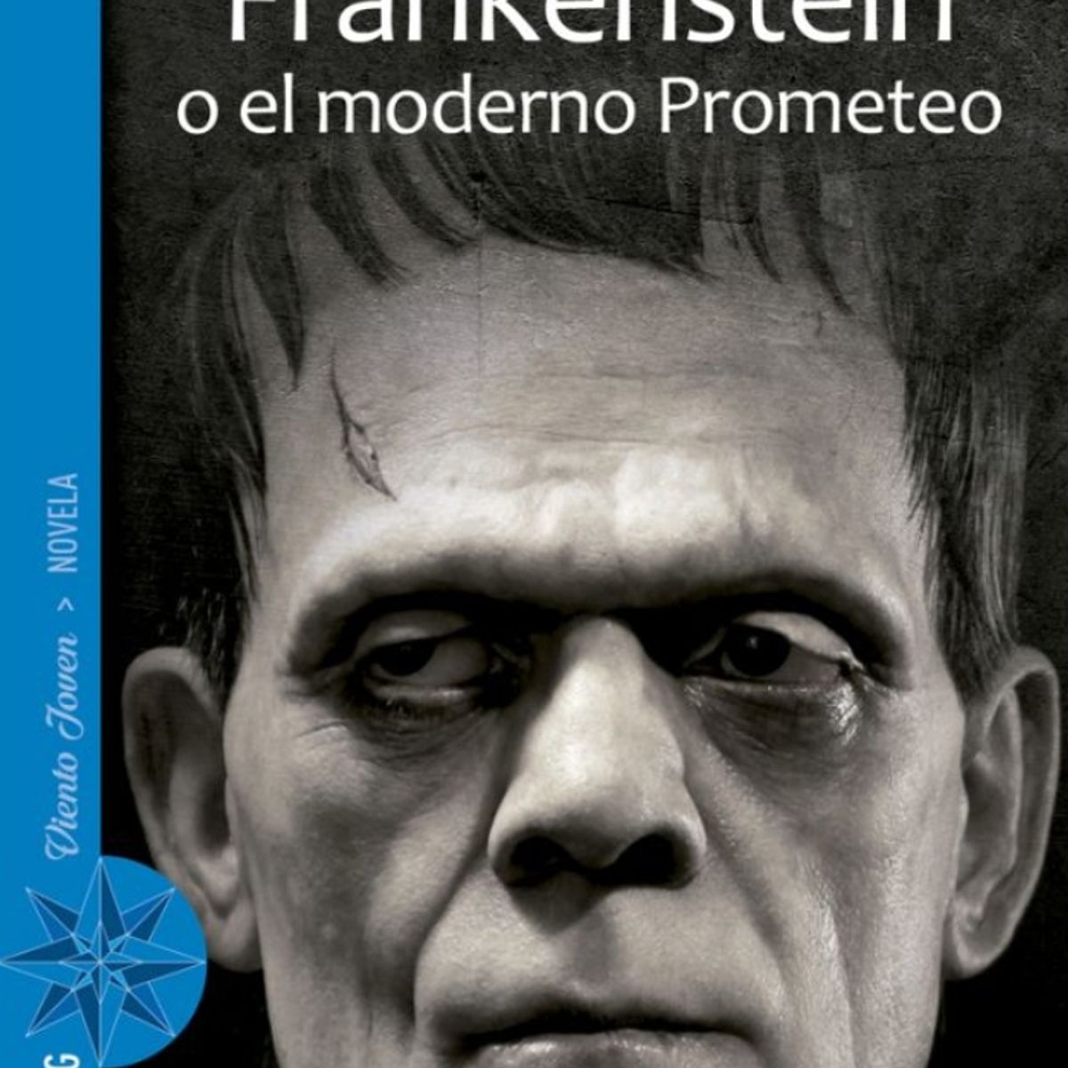 TOP10BOOKS - LIBRO Frankenstein O El Moderno Prometeo - FRANKENSTEIN O EL MODERNO PROMETEO