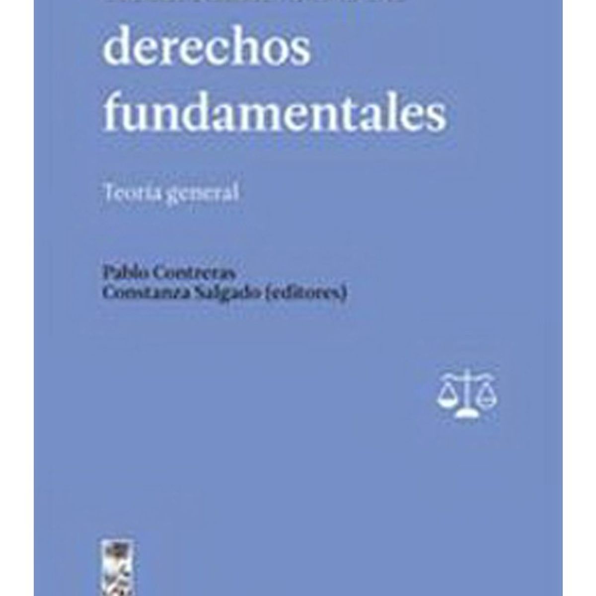 TOP10BOOKS - LIBRO Manual Sobre Derechos Fundamentales - Manual Sobre Derechos Fundamentales