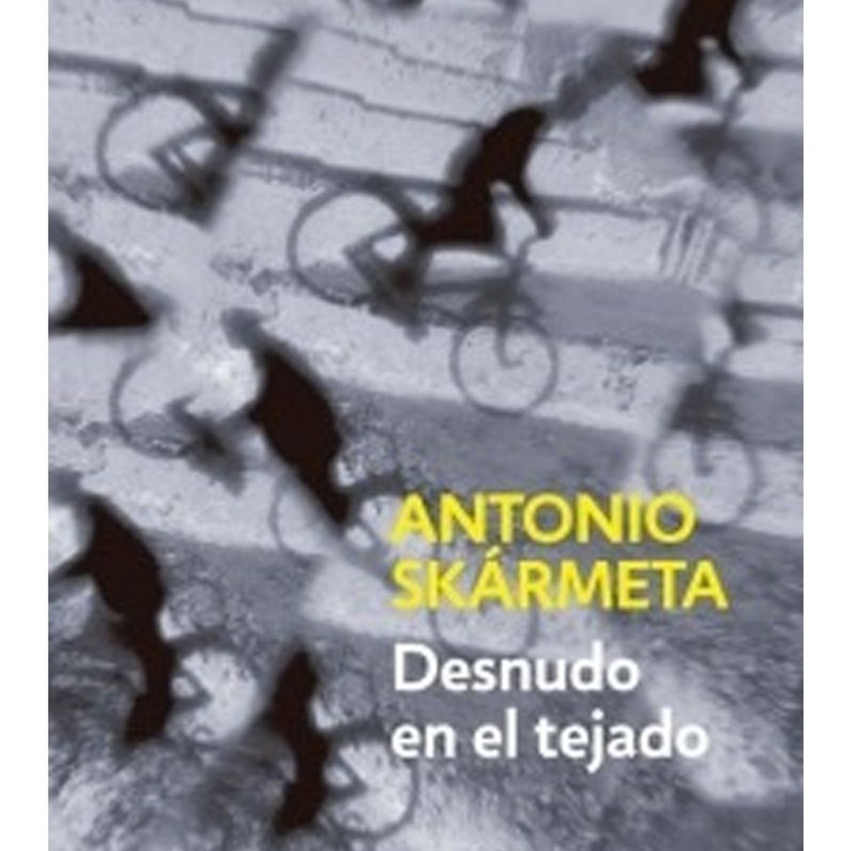 TOP10BOOKS - LIBRO Desnudo En El Tejado - Desnudo En El Tejado