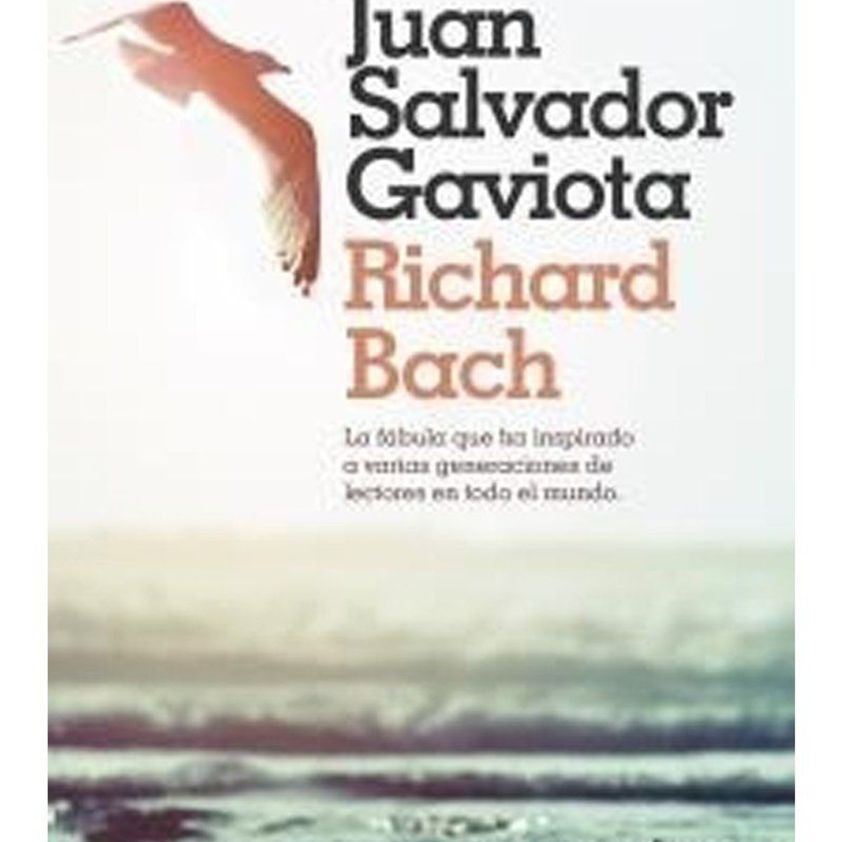 TOP10BOOKS - Libro Juan Salvador Gaviota -432-