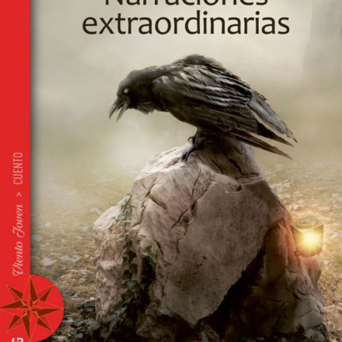 TOP10BOOKS - LIBRO Narraciones Extraordinarias - Narraciones Extraordinarias