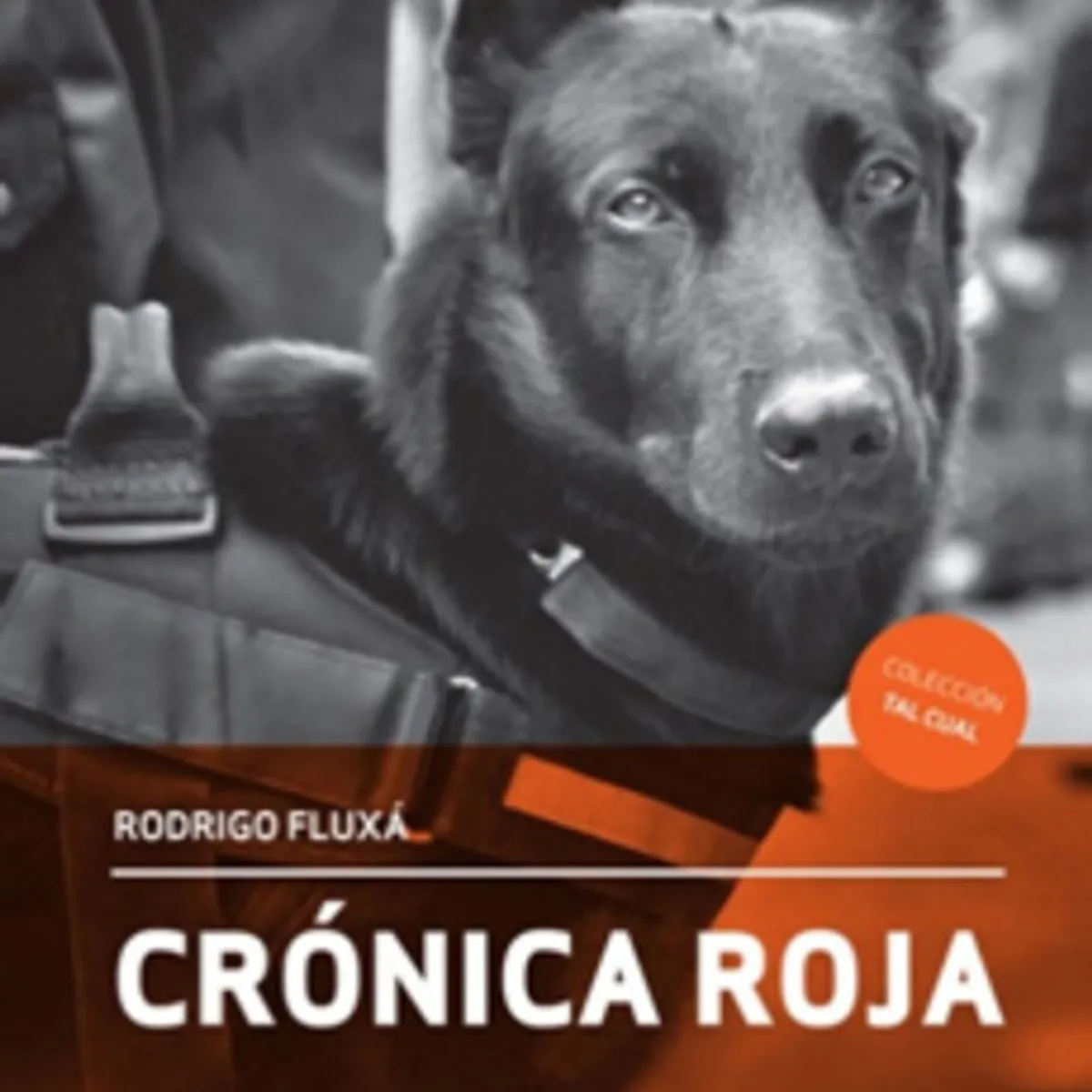 TOP10BOOKS - LIBRO Crónica Roja - Crónica Roja