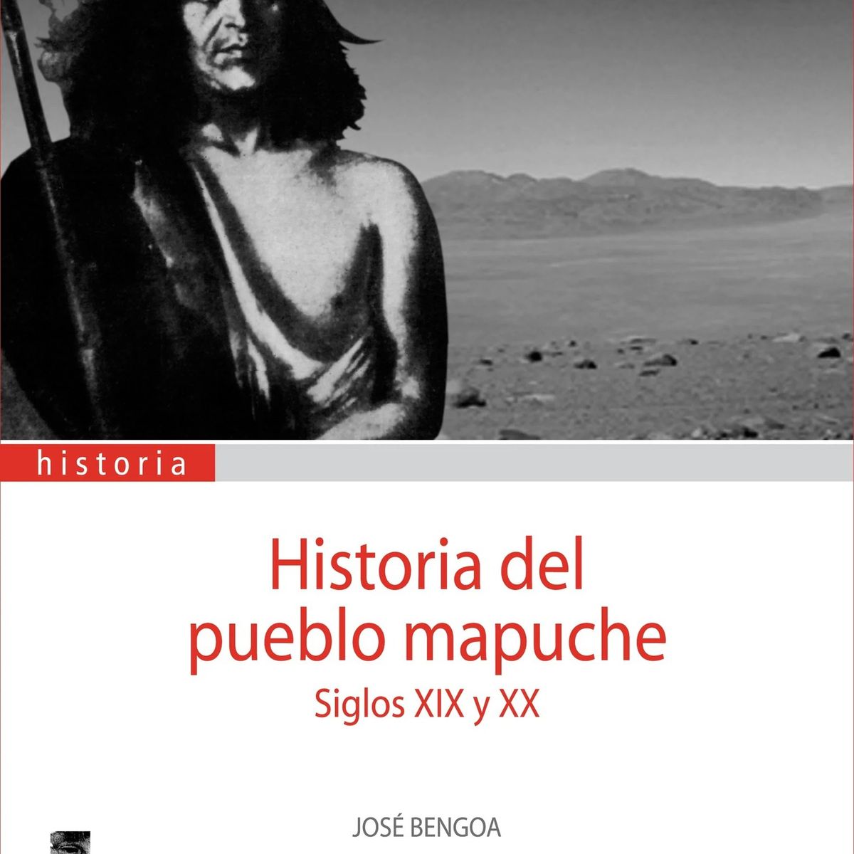 TOP10BOOKS - LIBRO Historia Del Pueblo Mapuche. Siglos XIX Y Xx - JOS? BENGOA