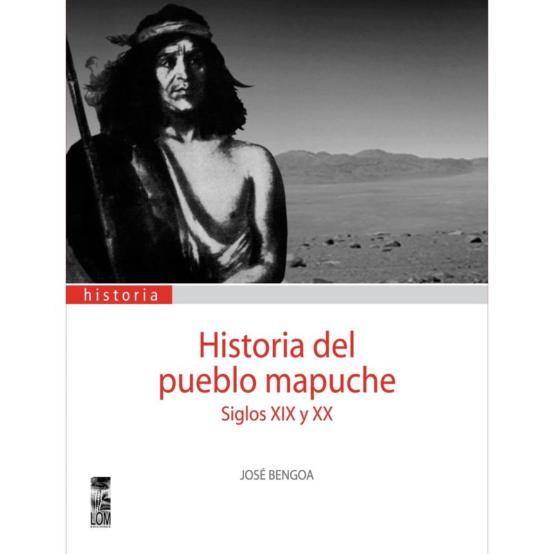 TOP10BOOKS - Libro HISTORIA DEL PUEBLO MAPUCHE. SIGLOS XIX Y XX