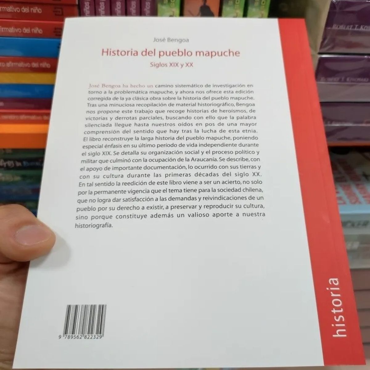 TOP10BOOKS - LIBRO Historia Del Pueblo Mapuche. Siglos XIX Y Xx - JOS? BENGOA