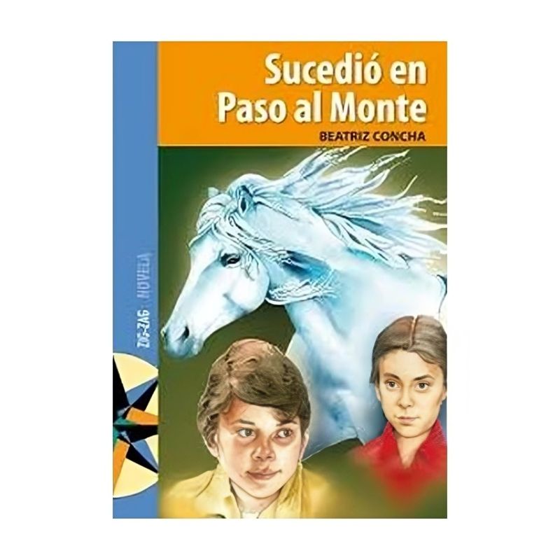 TOP10BOOKS - Libro SUCEDIO EN PASO AL MONTE