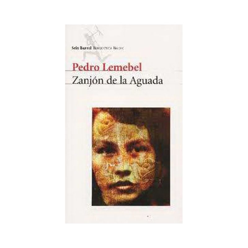 TOP10BOOKS - Libro ZANJON DE LA AGUADA