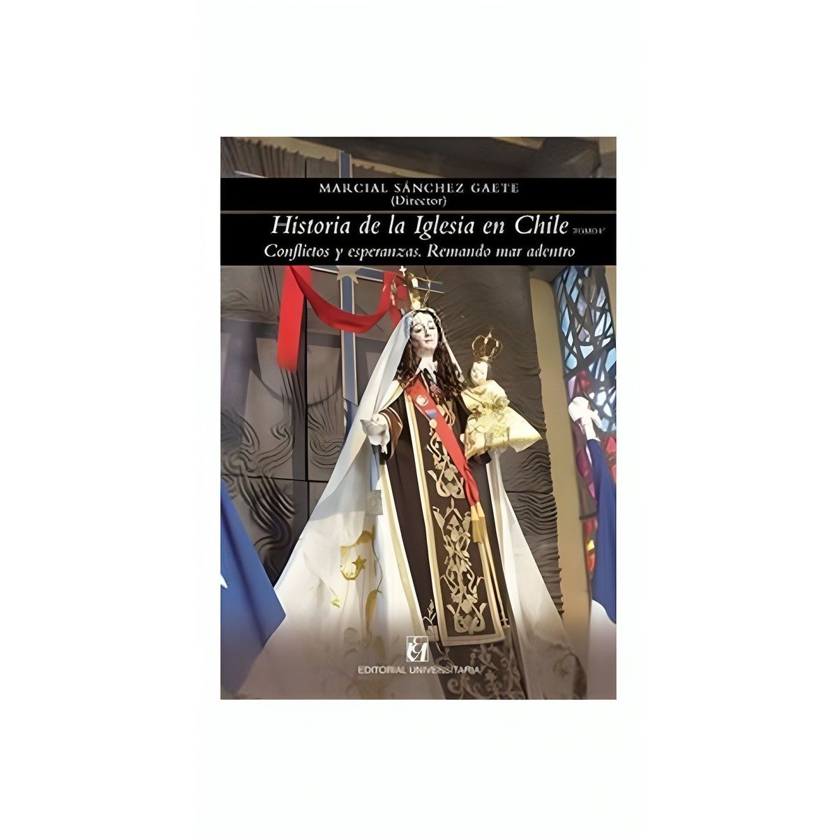 TOP10BOOKS - LIBRO Historia De La Iglesia En Chile Tomo V