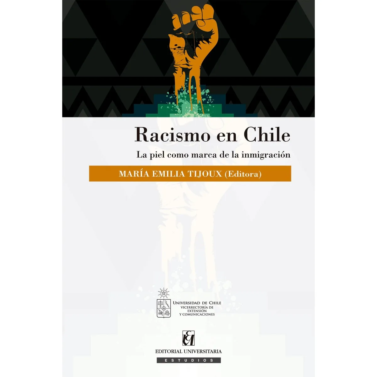 TOP10BOOKS - LIBRO Racismo En Chile. La Piel Cómo Marca De La Inmigración