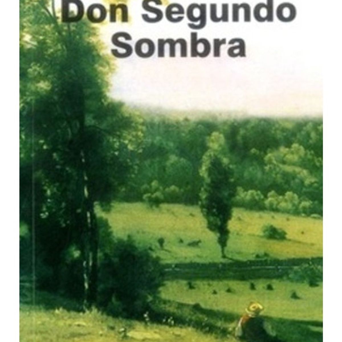 TOP10BOOKS - LIBRO Don Segundo Sombra - Don Segundo Sombra
