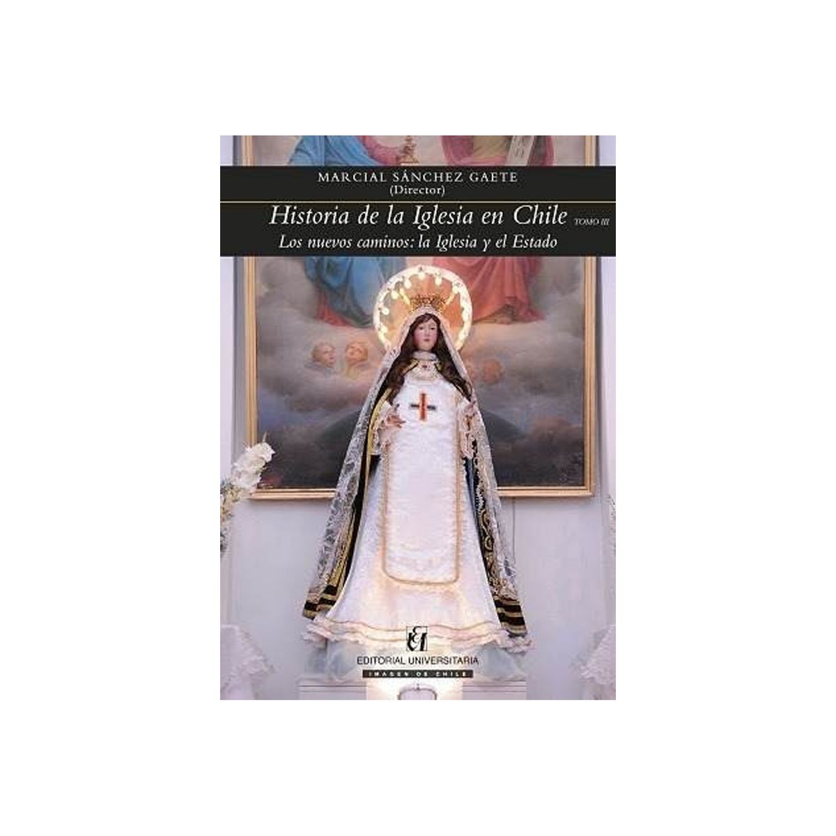 TOP10BOOKS - LIBRO Historia De La Iglesia En Chile Tomo III. Los Nuevos Caminos: La Iglesia Y