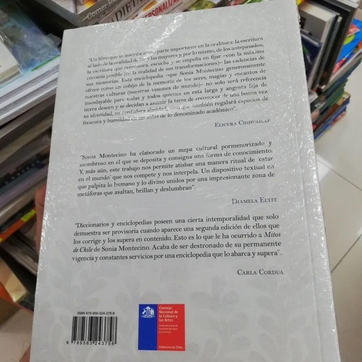 TOP10BOOKS - LIBRO Mitos De Chile. Enciclopedia De Seres, Apariciones Y Encantos