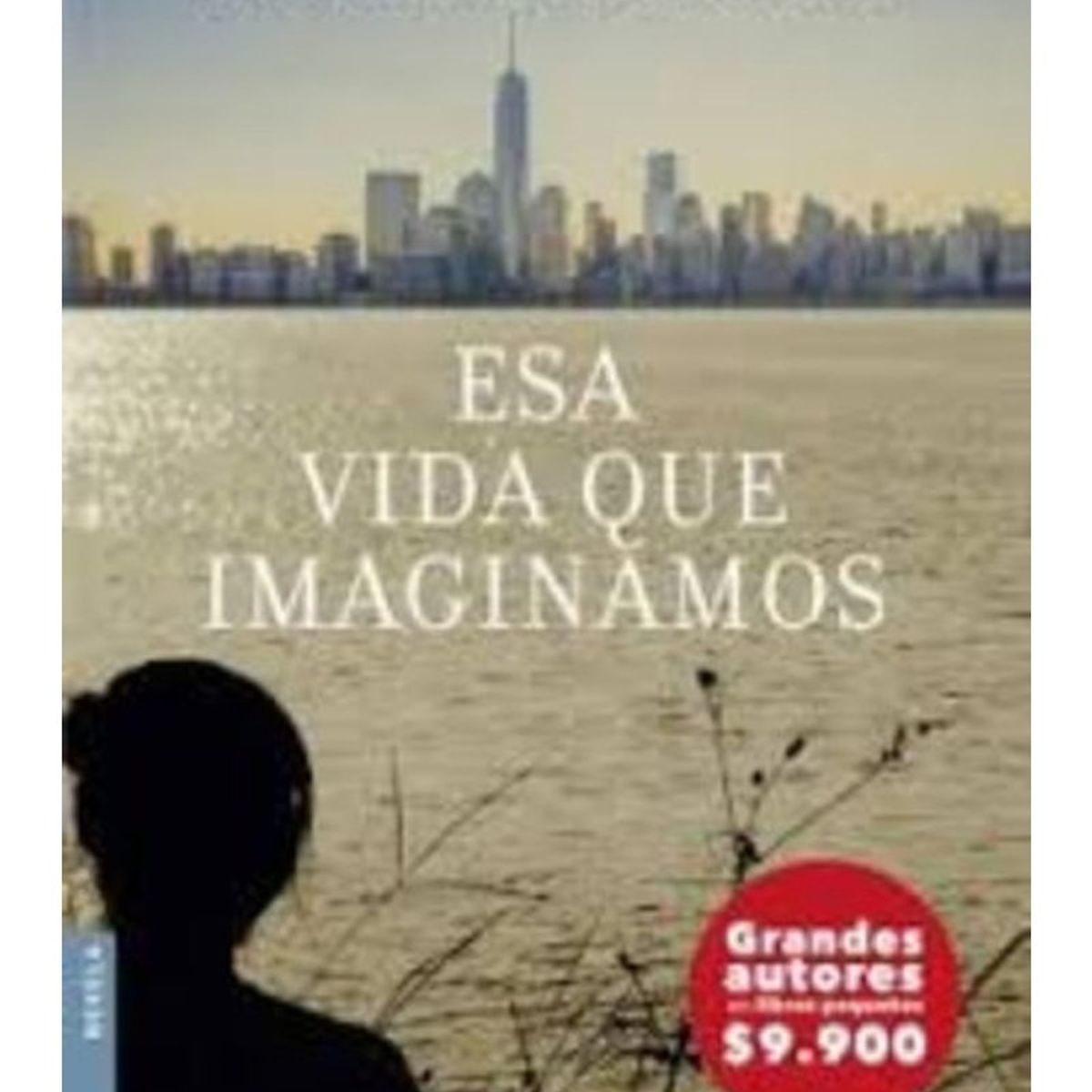 TOP10BOOKS - LIBRO Esa Vida Que Imaginamos - Esa Vida Que Imaginamos