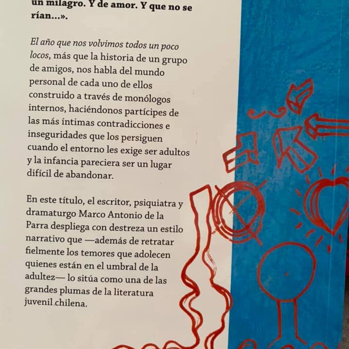 TOP10BOOKS - Libro El año que nos volvimos todos un poco locos / Marco Antonio de la Parra -