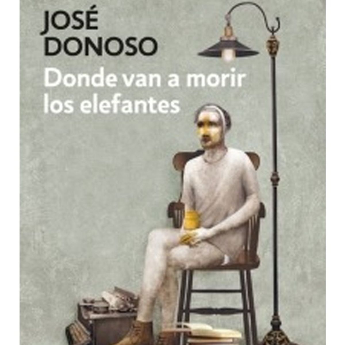 TOP10BOOKS - LIBRO Donde Van A Morir Los Elefantes - JOSE DONOSO