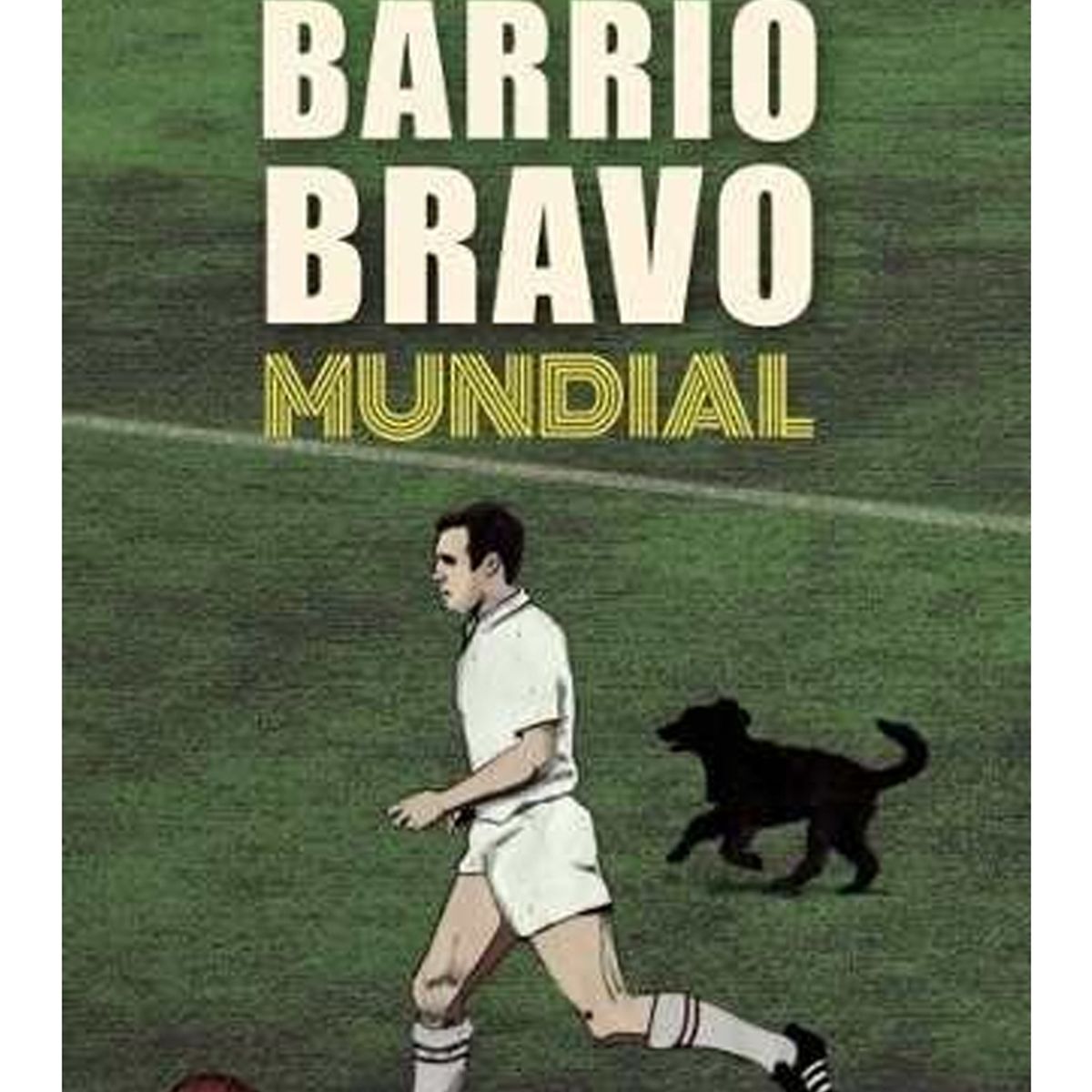 TOP10BOOKS - LIBRO Barrio Bravo Mundial - Barrio Bravo Mundial