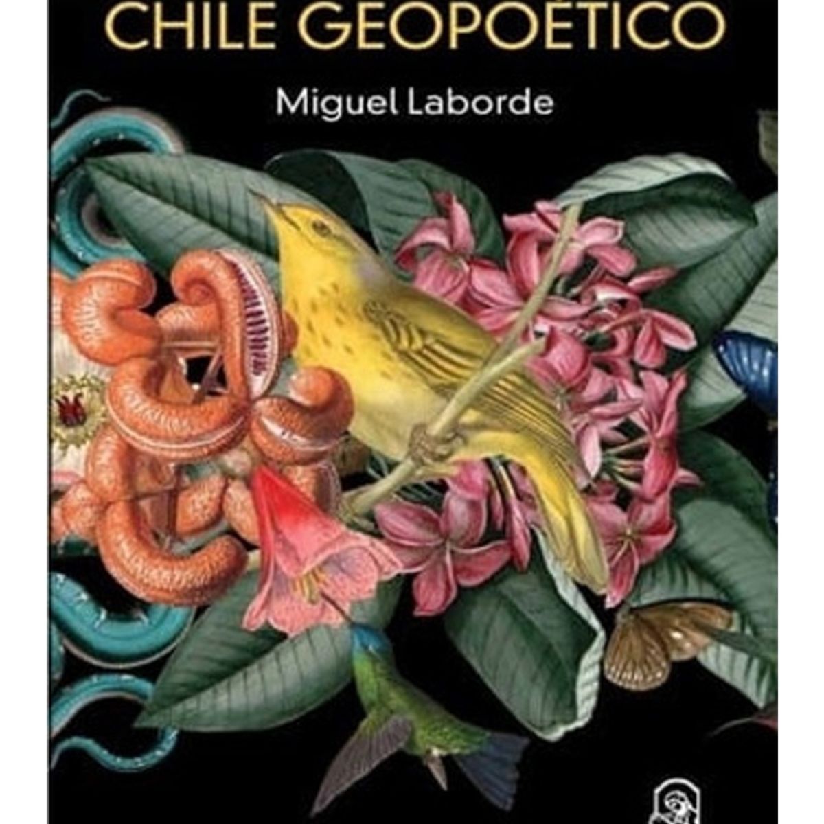 TOP10BOOKS - LIBRO Chile Geopoetico - Chile Geopoetico