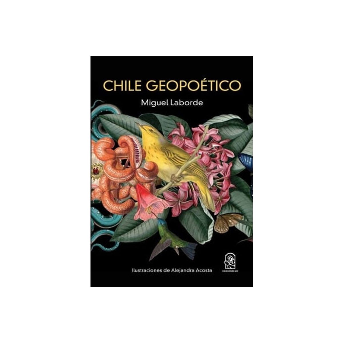 TOP10BOOKS - LIBRO Chile Geopoetico - Chile Geopoetico
