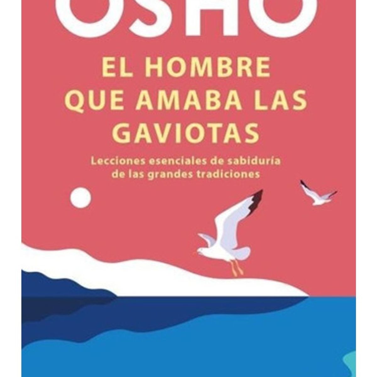 TOP10BOOKS - LIBRO El Hombre Que Amaba Las Gaviotas - El Hombre Que Amaba Las Gaviotas