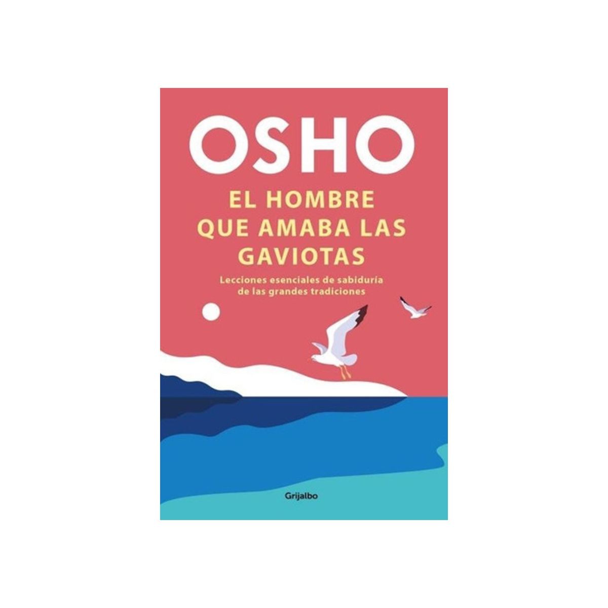 TOP10BOOKS - LIBRO El Hombre Que Amaba Las Gaviotas - El Hombre Que Amaba Las Gaviotas