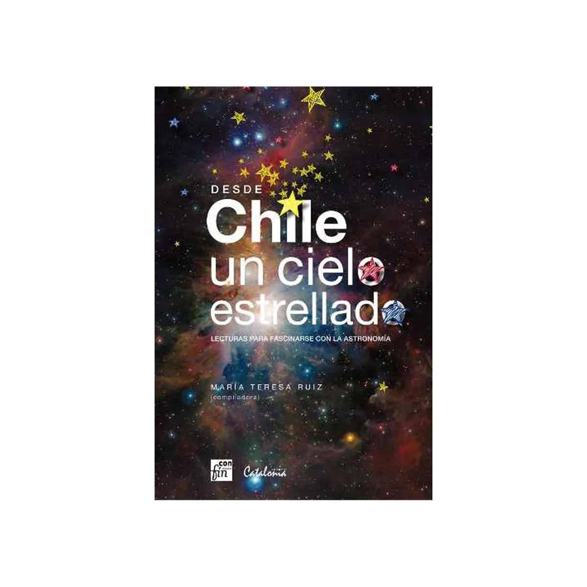 TOP10BOOKS - LIBRO Desde Chile Un Cielo Estrellado - Desde Chile Un Cielo Estrellado