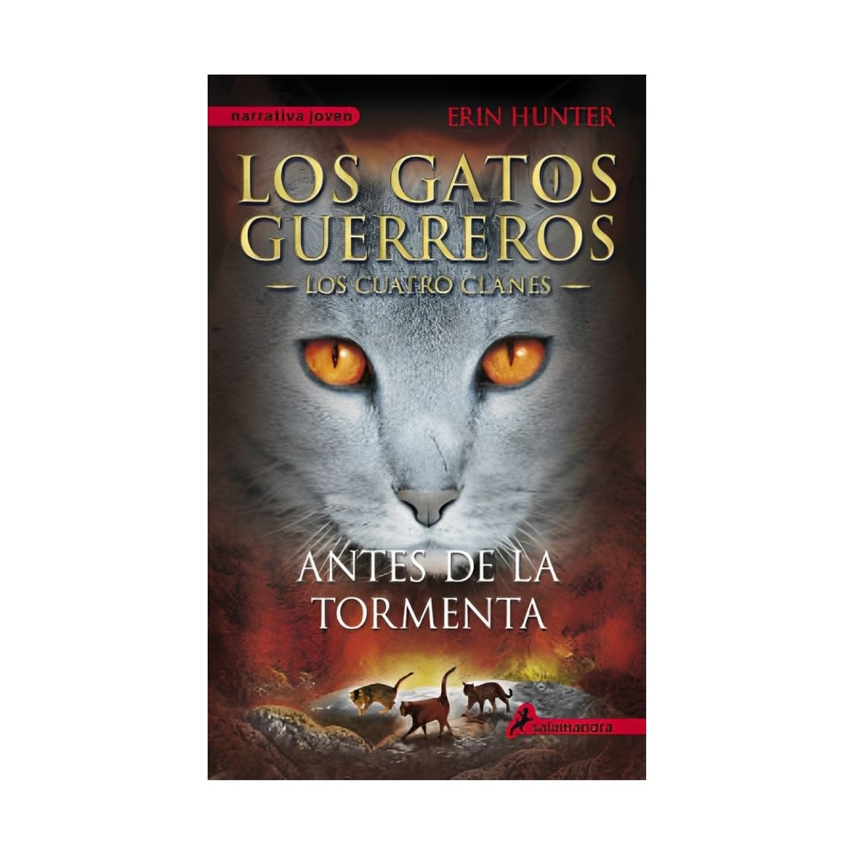 TOP10BOOKS - LIBRO Antes De La Tormenta: Los Gatos Guerreros-Cuatro