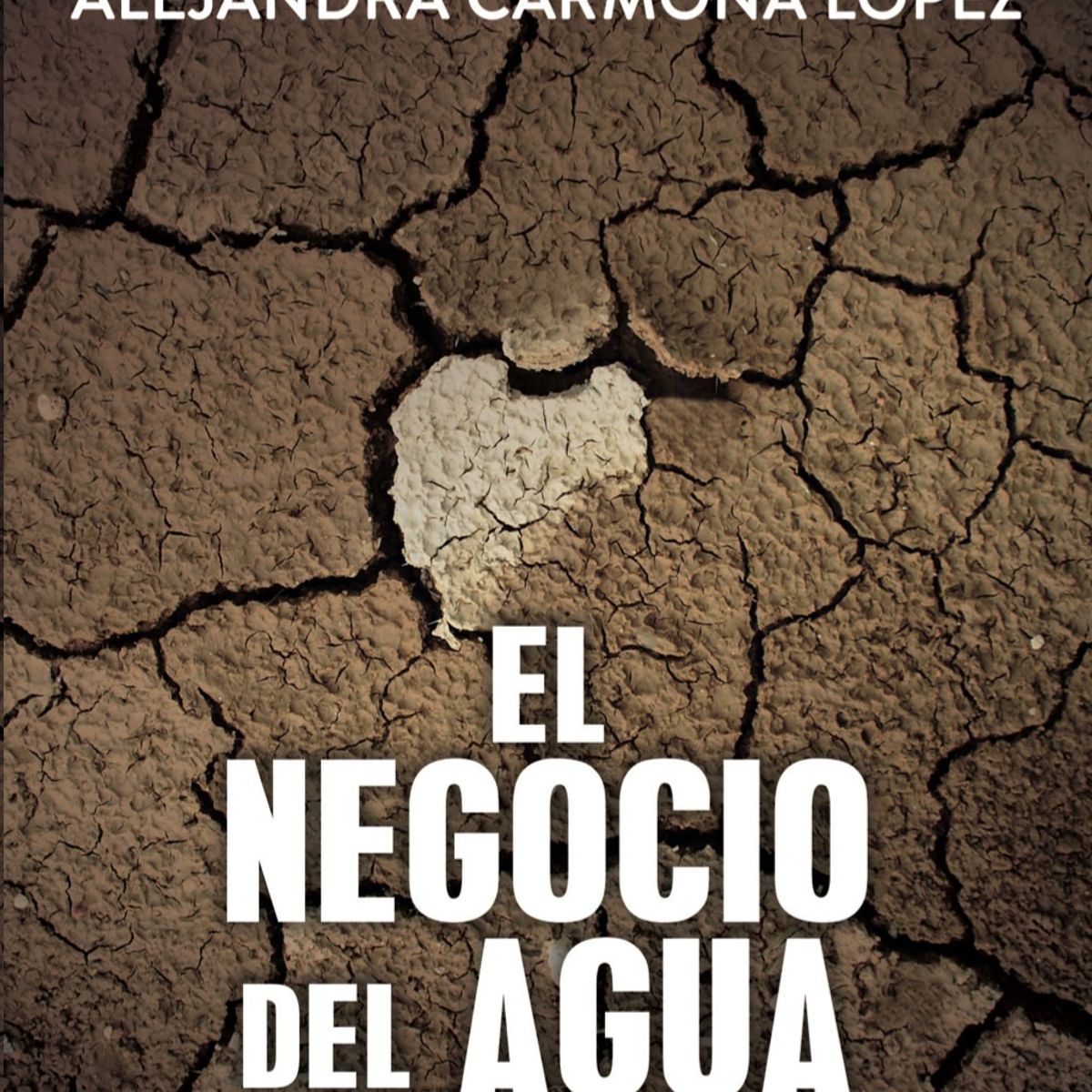 TOP10BOOKS - LIBRO El Negocio Del Agua - Tania Tamayo - Alejandra Carmona