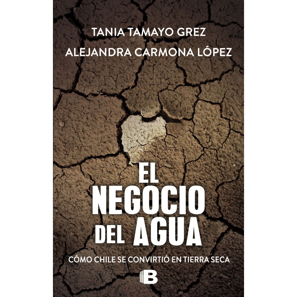 TOP10BOOKS - LIBRO El Negocio Del Agua - Tania Tamayo - Alejandra Carmona
