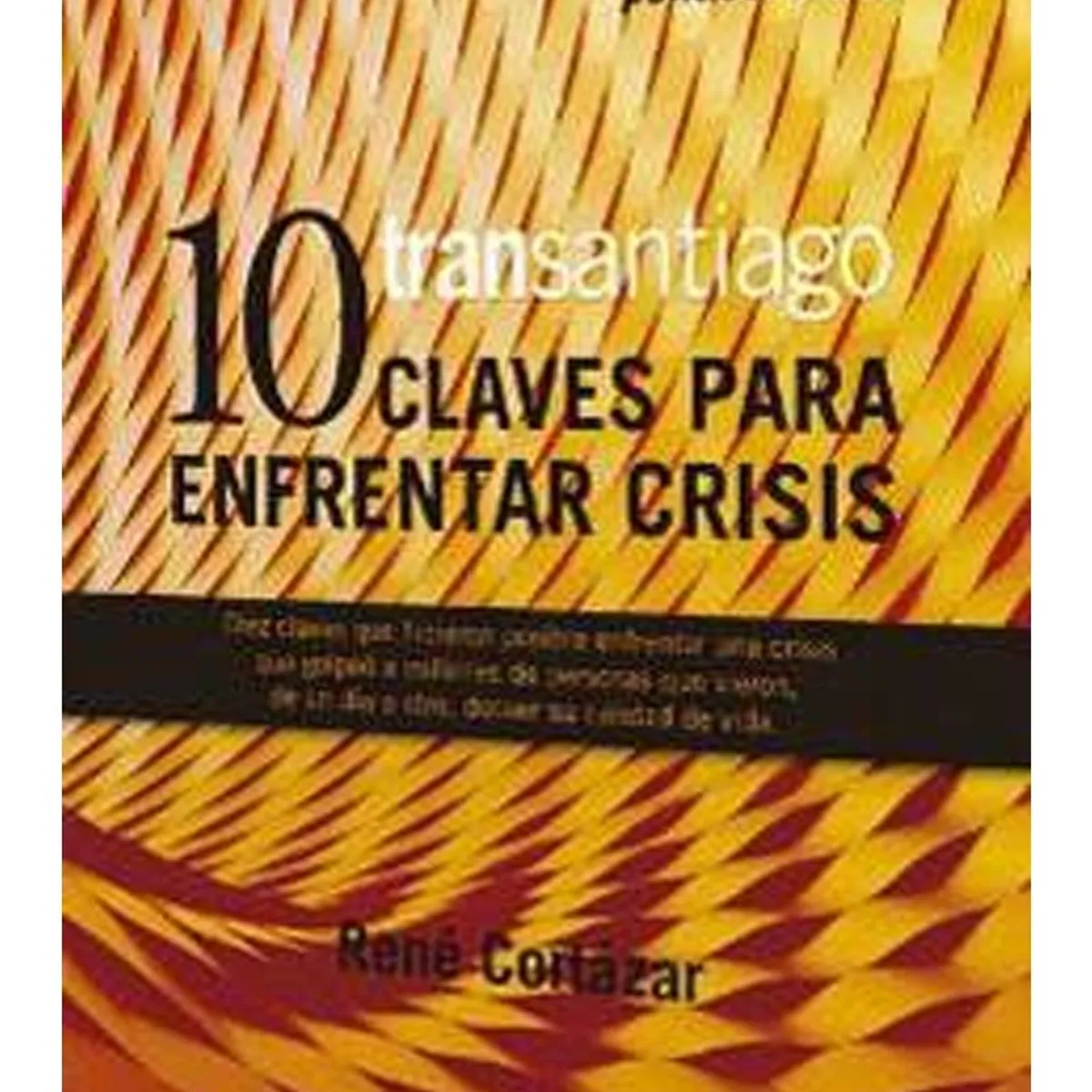 TOP10BOOKS - LIBRO Transantiago. 10 Claves Para Enfrentar Crisis