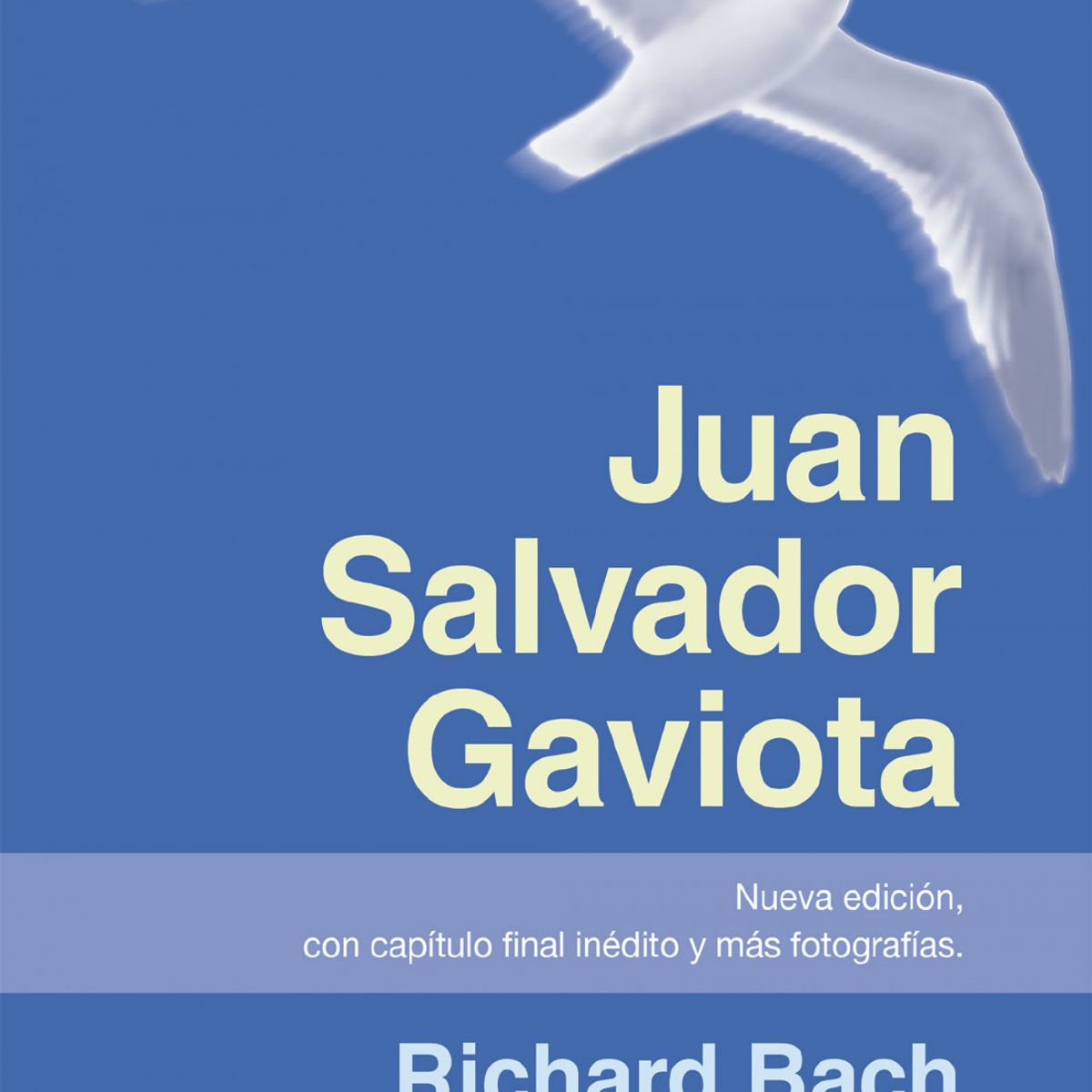 TOP10BOOKS - Libro JUAN SALVADOR GAVIOTA