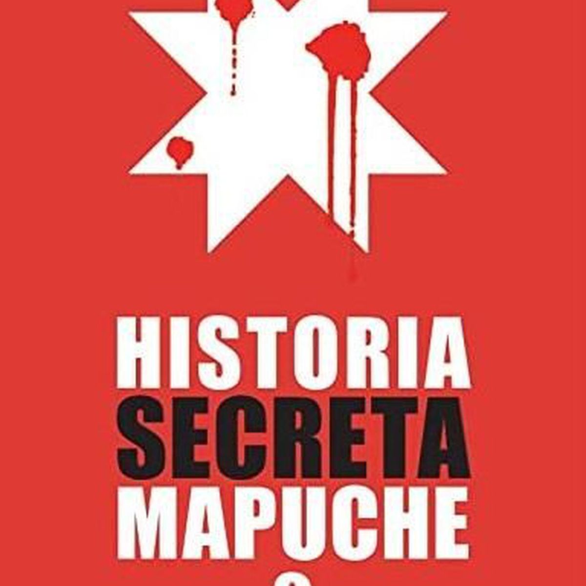 TOP10BOOKS - LIBRO Historia Secreta Mapuche 2 - Historia Secreta Mapuche 2