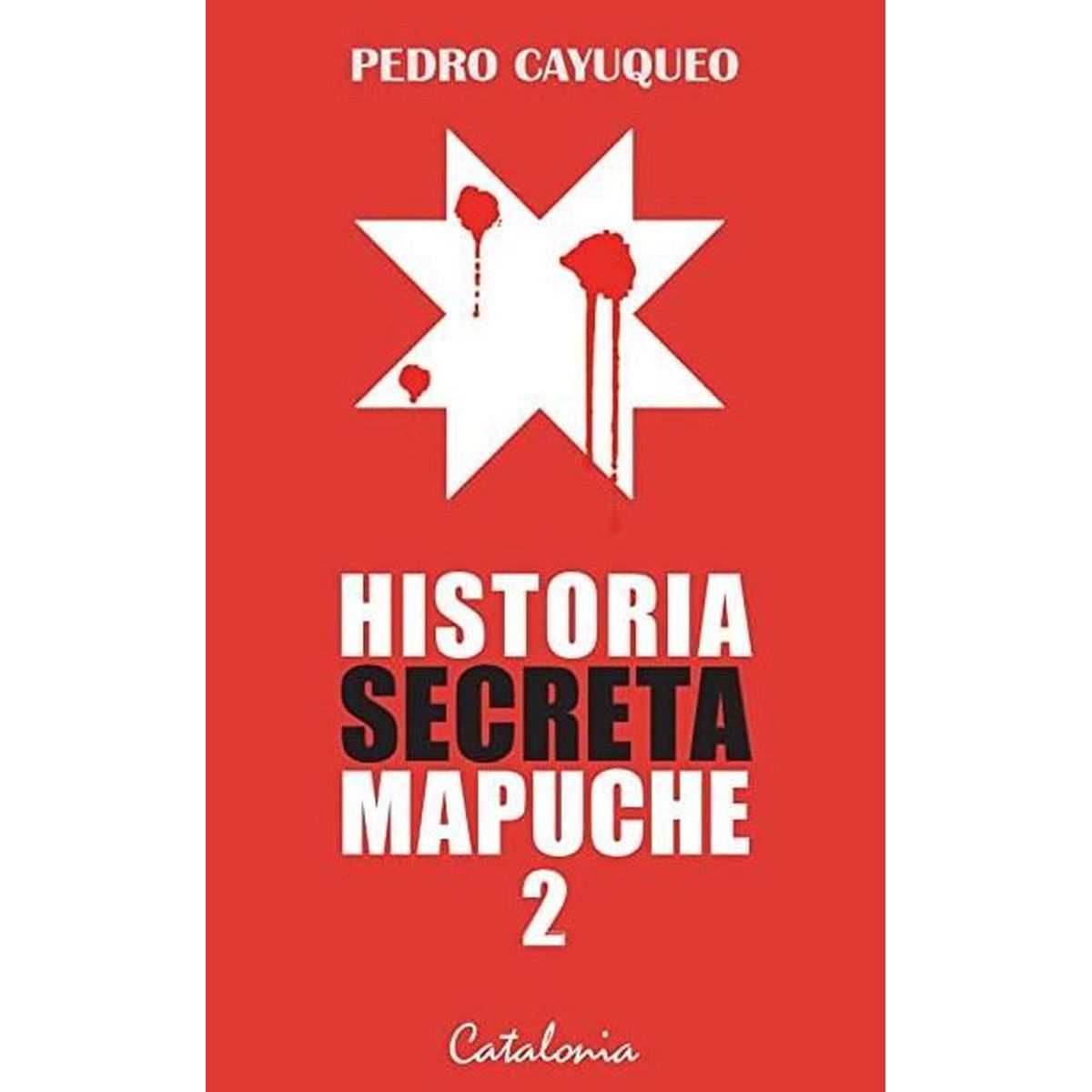 TOP10BOOKS - LIBRO Historia Secreta Mapuche 2 - Historia Secreta Mapuche 2