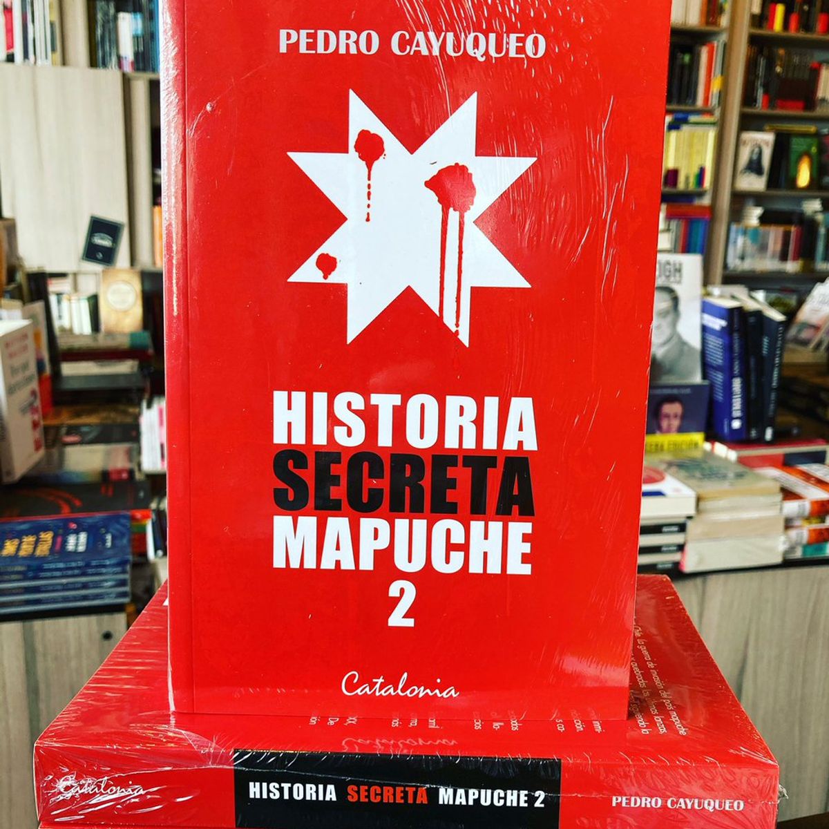 TOP10BOOKS - LIBRO Historia Secreta Mapuche 2 - Historia Secreta Mapuche 2