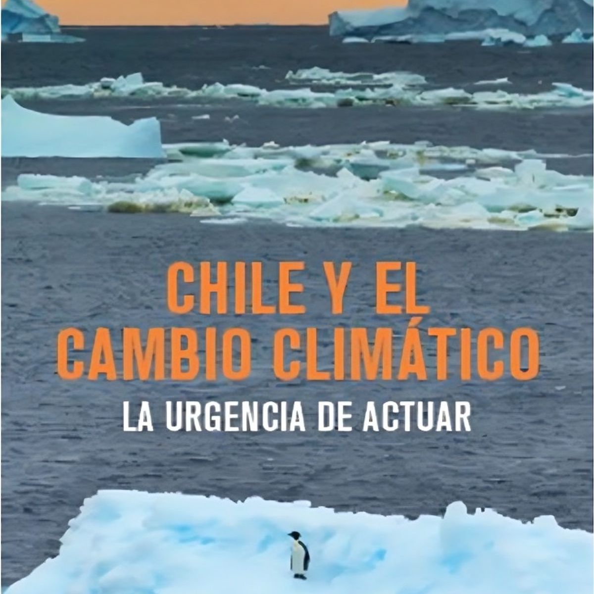 TOP10BOOKS - LIBRO Curso De Derecho Procesal Penal Segunda Edición Actualizada - Ignacio Ried
