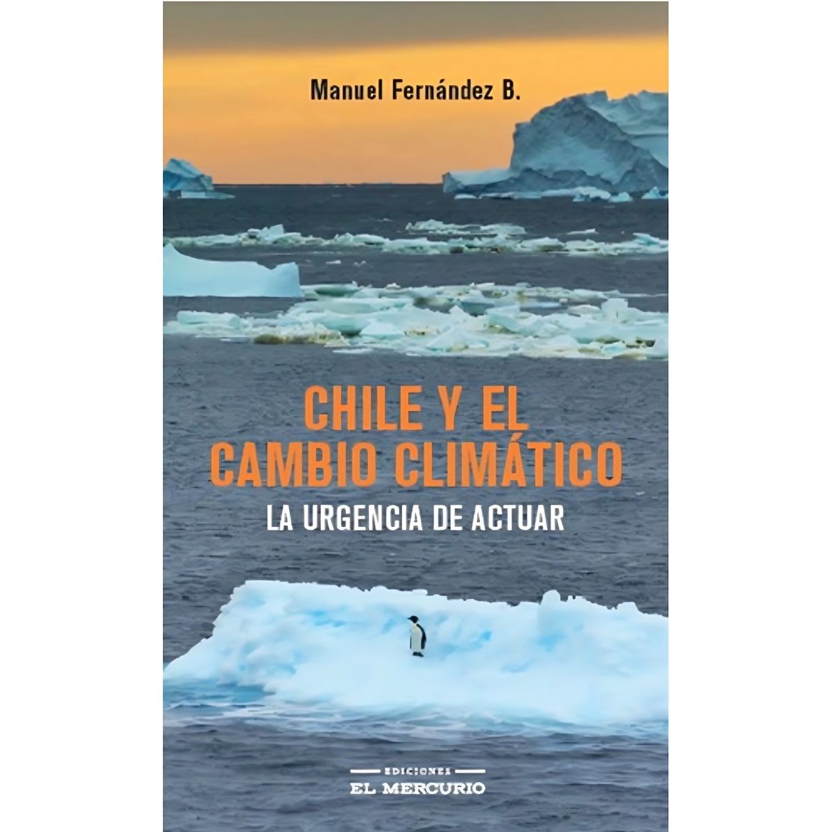 TOP10BOOKS - LIBRO Curso De Derecho Procesal Penal Segunda Edición Actualizada - Ignacio Ried