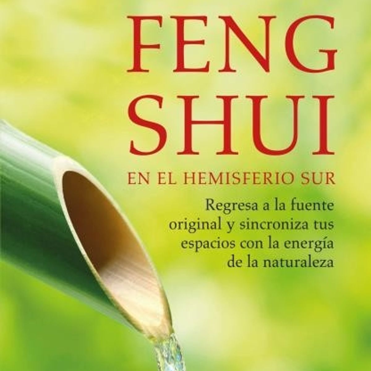 TOP10BOOKS - LIBRO Feng Shui En El Hemisferio Sur (relanzamiento)