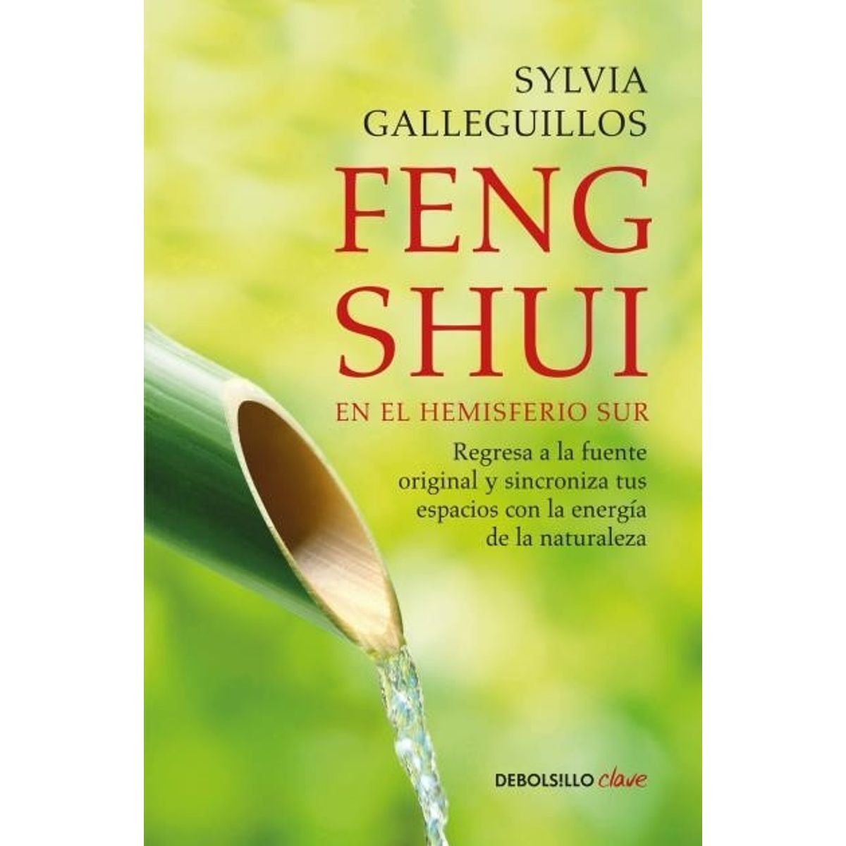 TOP10BOOKS - LIBRO Feng Shui En El Hemisferio Sur (relanzamiento)