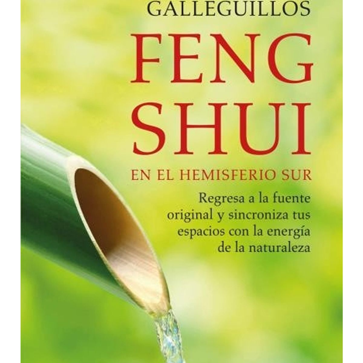 TOP10BOOKS - LIBRO Feng Shui En El Hemisferio Sur (relanzamiento)