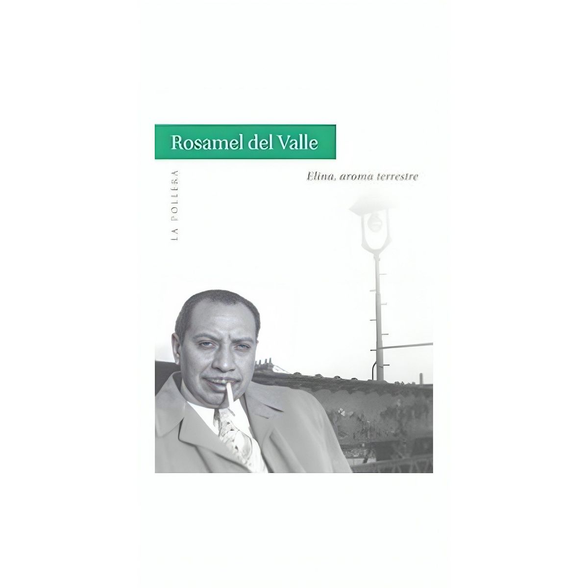 TOP10BOOKS - LIBRO Elina, Aroma Terrestre - Elina, Aroma Terrestre