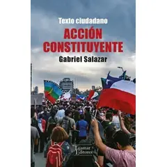 TOP10BOOKS - LIBRO Acción Constituyente. Un Texto Ciudadano Y Dos Ensayos Históricos