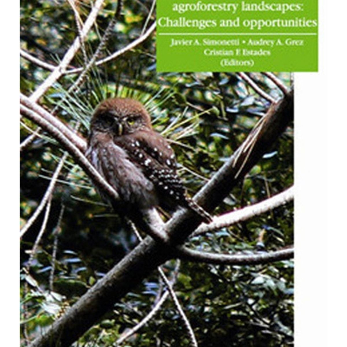 TOP10BOOKS - LIBRO Biodiversity Conservation In Agroforestry Landscapes