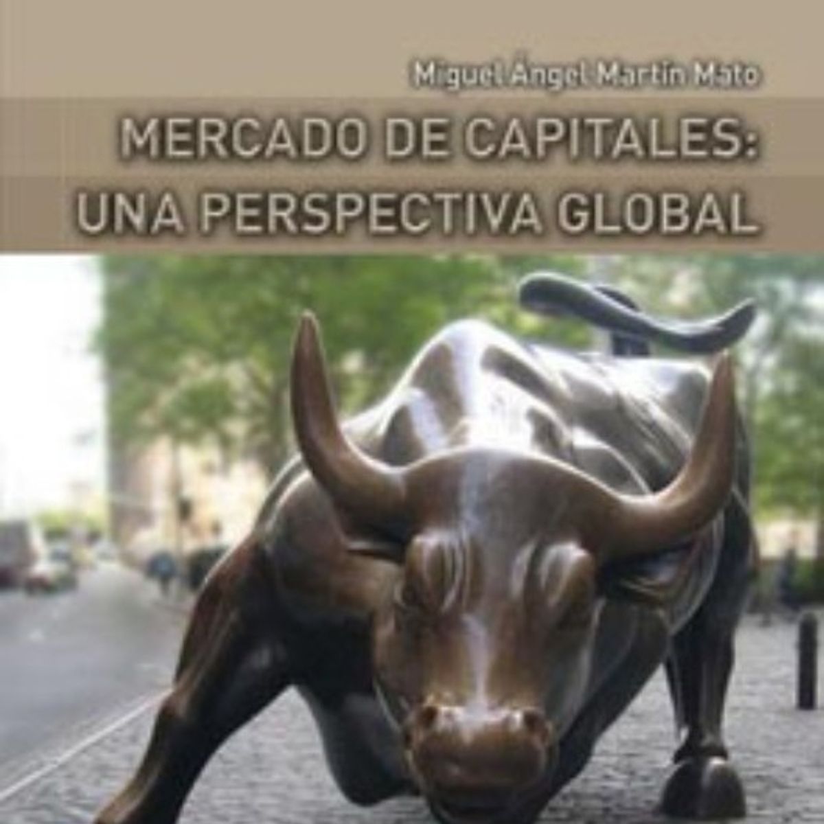 TOP10BOOKS - LIBRO Mercado De Capitales: Una Perspectiva Global