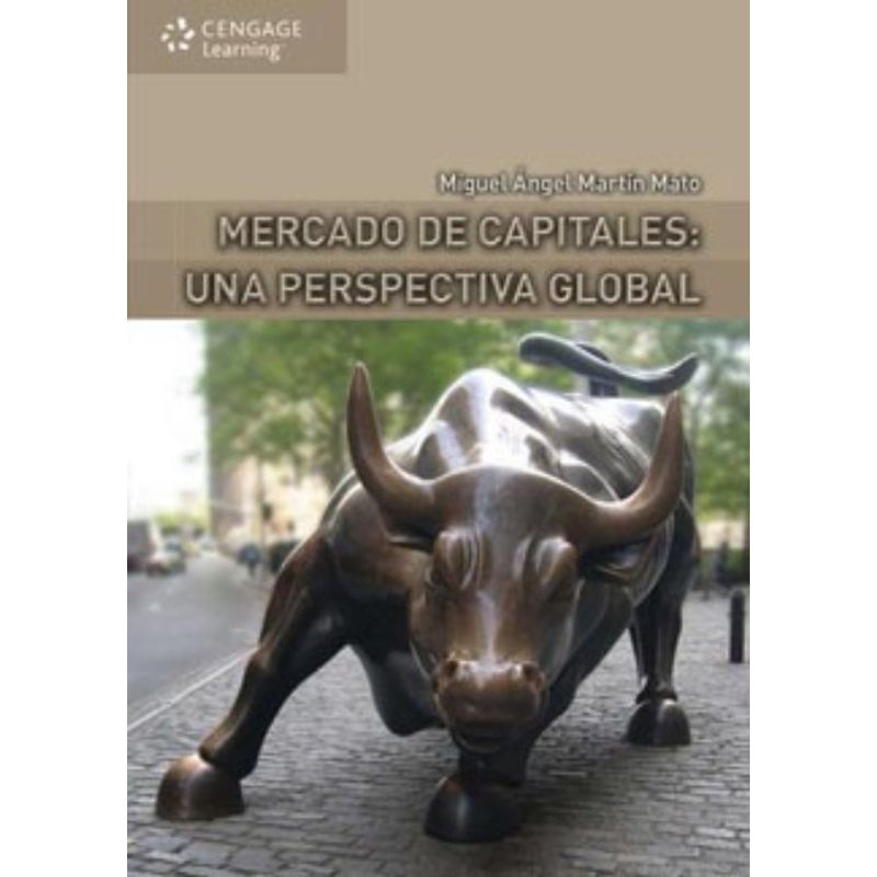 TOP10BOOKS - Libro MERCADO DE CAPITALES: UNA PERSPECTIVA GLOBAL