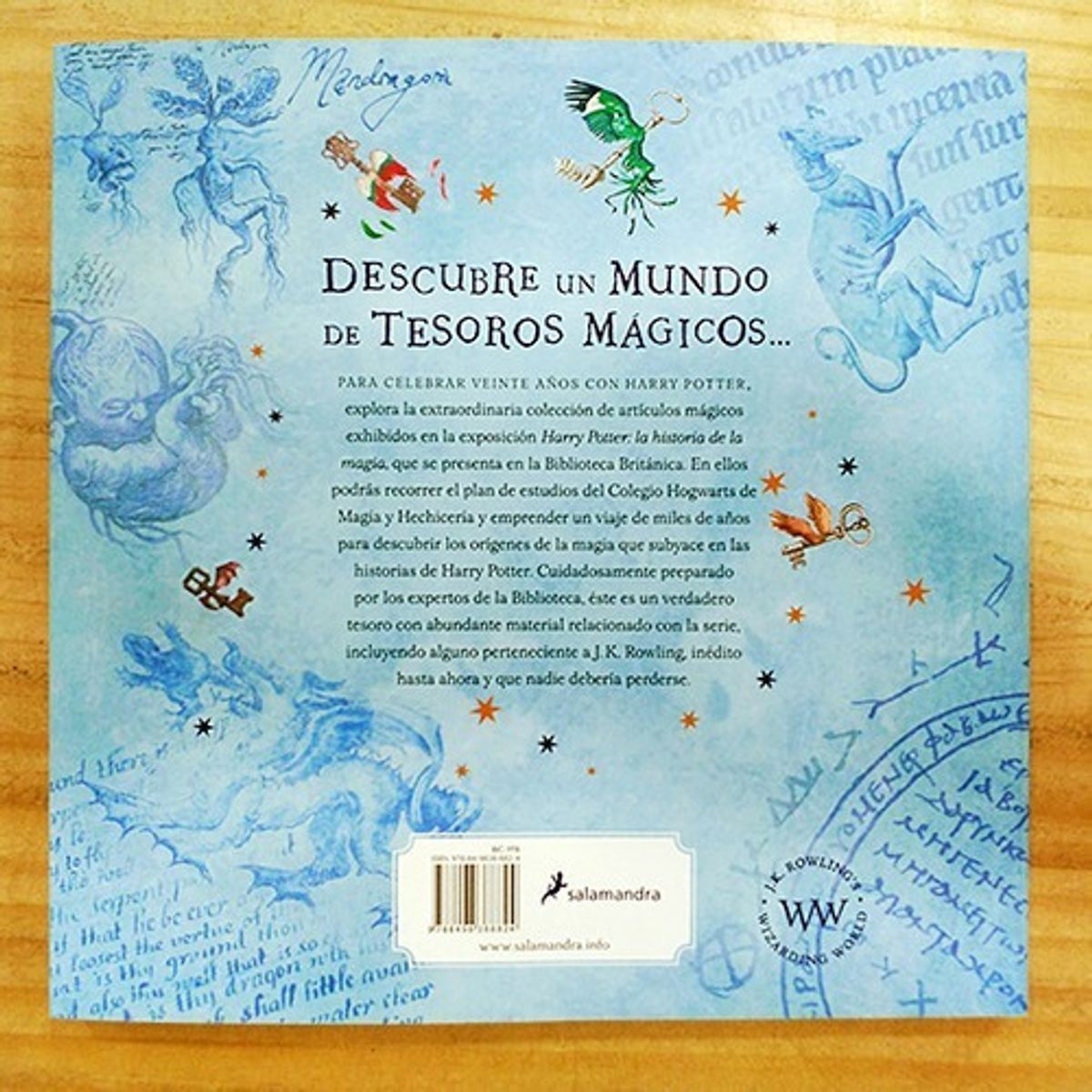 TOP10BOOKS - LIBRO Harry Potter: Un Viaje Por La Historia De La Magia