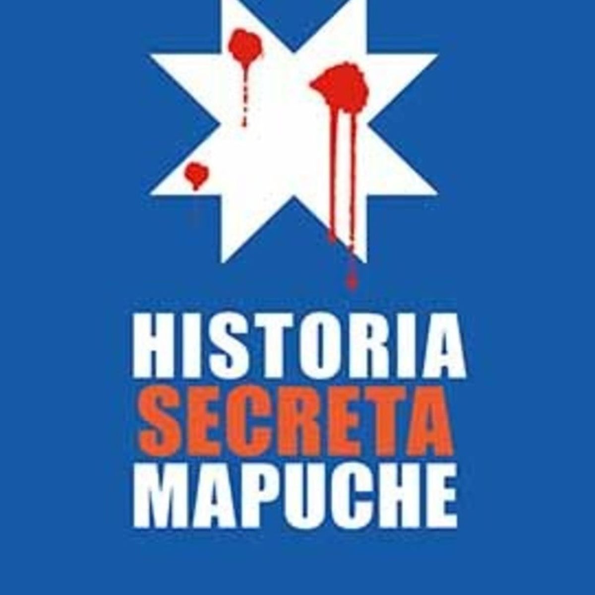 TOP10BOOKS - LIBRO Historia Secreta Mapuche - Historia Secreta Mapuche