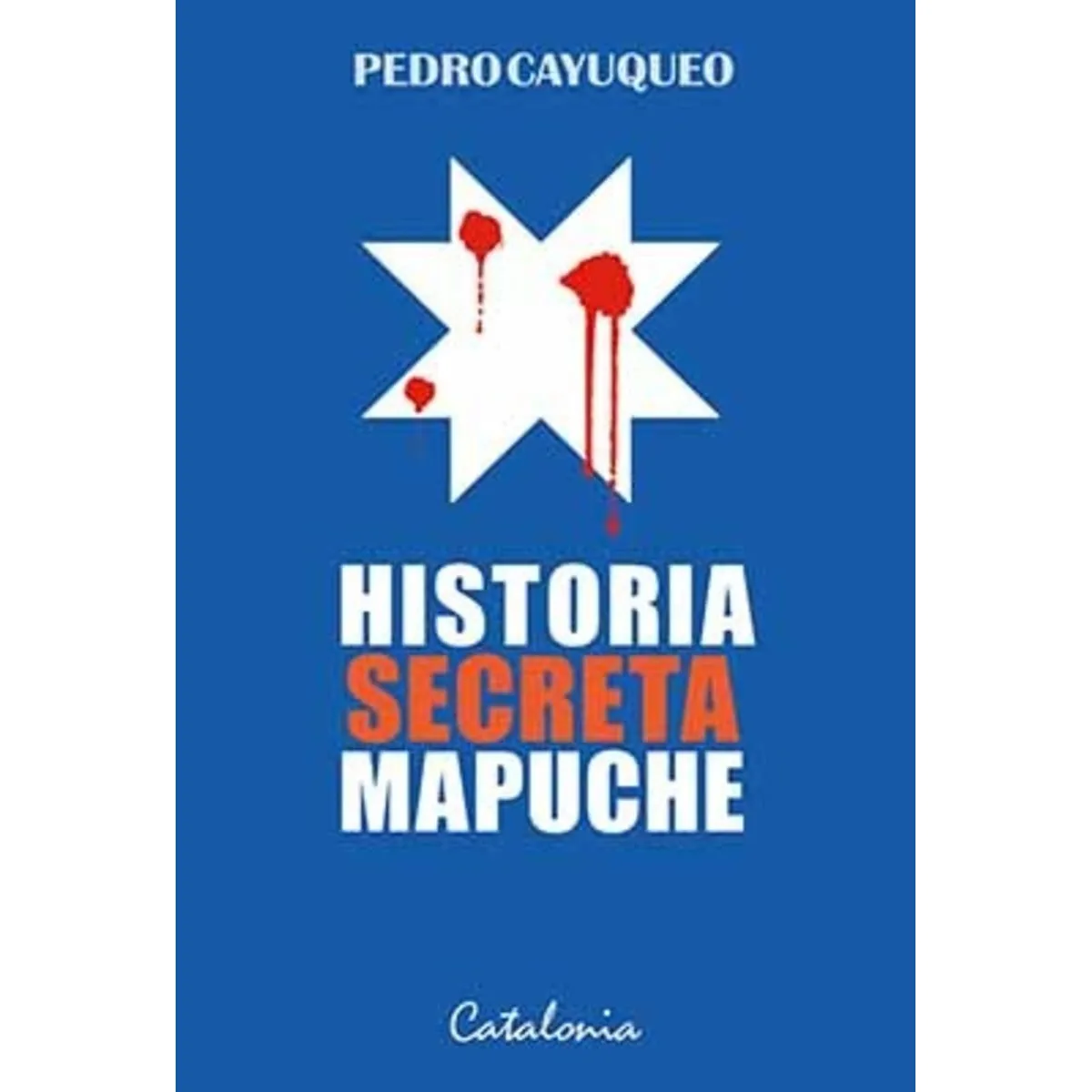 TOP10BOOKS - LIBRO Historia Secreta Mapuche - Historia Secreta Mapuche