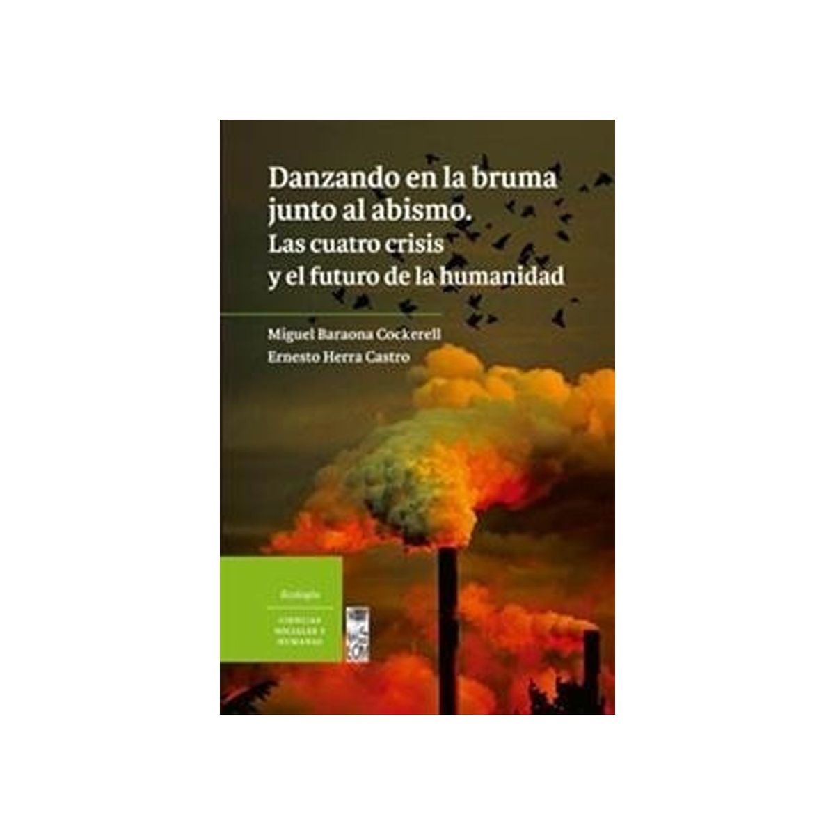 TOP10BOOKS - LIBRO Danzando En La Bruma Junto Al Abismo