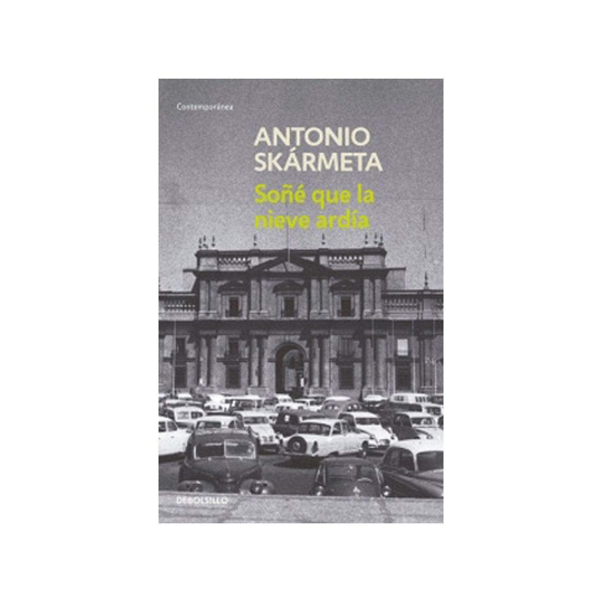 TOP10BOOKS - LIBRO Soñé Que La Nieve Ardía - Soñé Que La Nieve Ardía