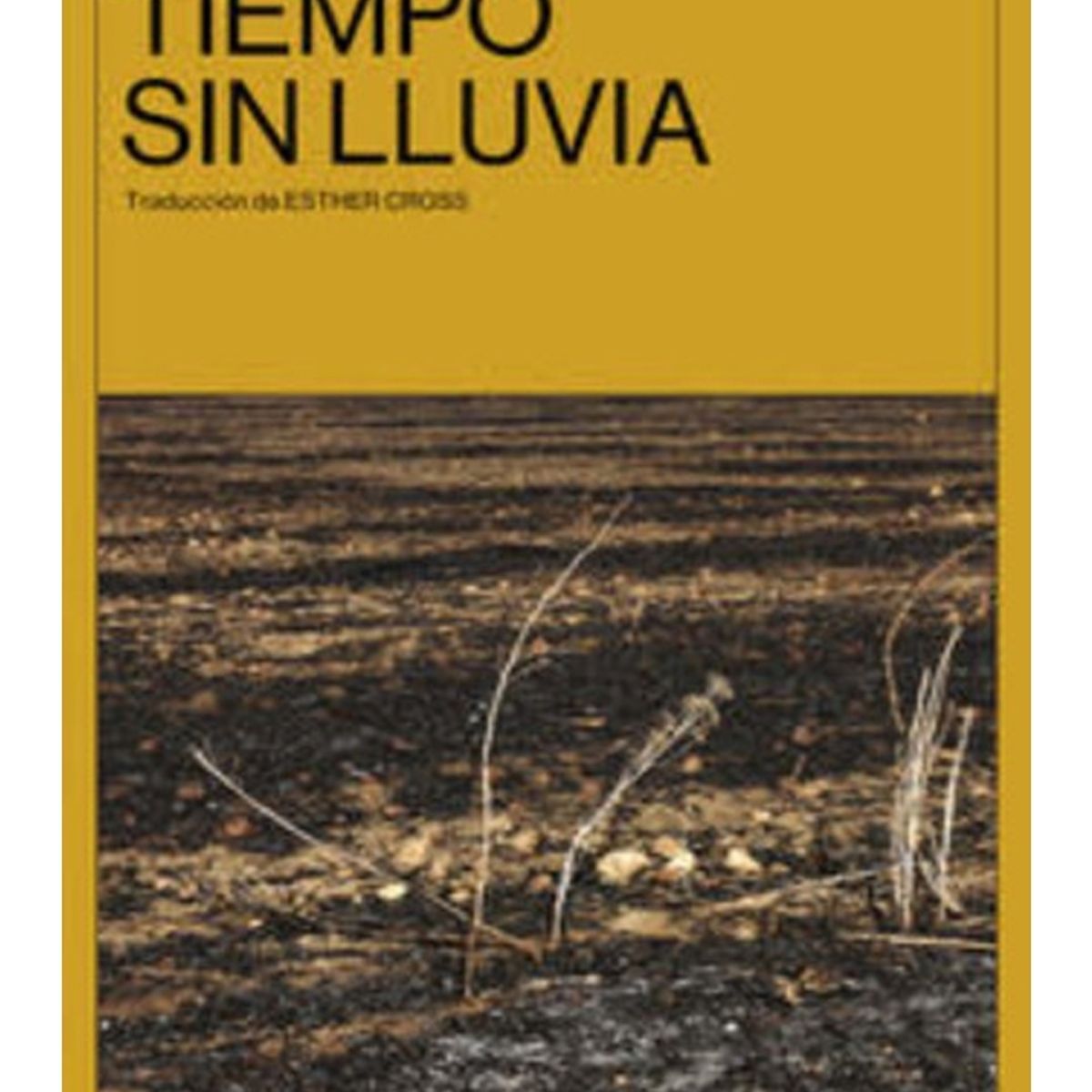 TOP10BOOKS - LIBRO Tiempo s i n Lluvia - Tiempo s i n Lluvia