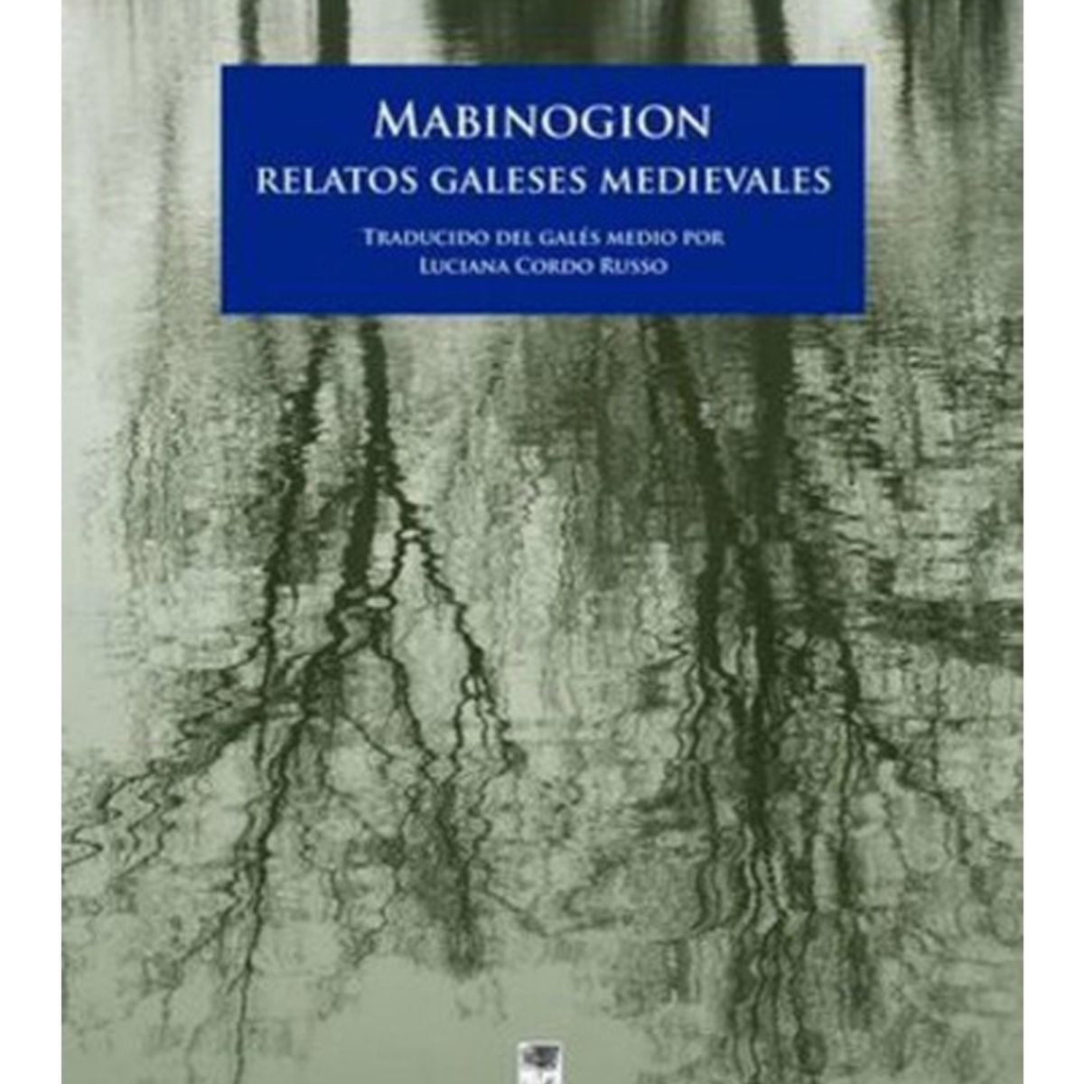 TOP10BOOKS - LIBRO Mabinogion Relatos Galeses Medievales